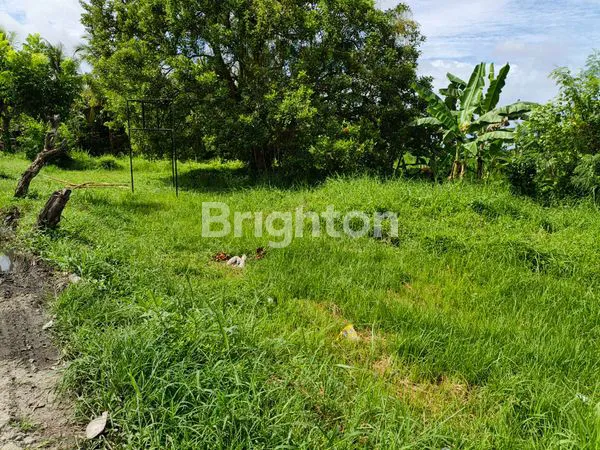 image TANAH STRATEGIS SELUAS 23,430M² DI JALAN RAYA UTAMA DENPASAR-GILIMANUK (2)