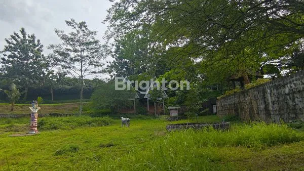 image TANAH KAWASAN WISATA, INVESTASI BERJALAN DI GUNUNG PATI (2)