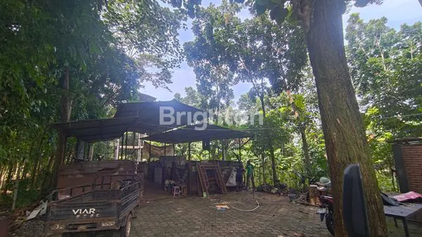image TANAH KAWASAN WISATA, INVESTASI BERJALAN DI GUNUNG PATI (5)