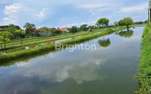 image JUAL TANAH TAMBAK (1)