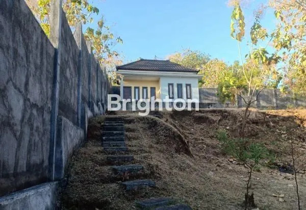 image RUMAH + TANAH SIAP HUNI DI BULELENG BALI (3)
