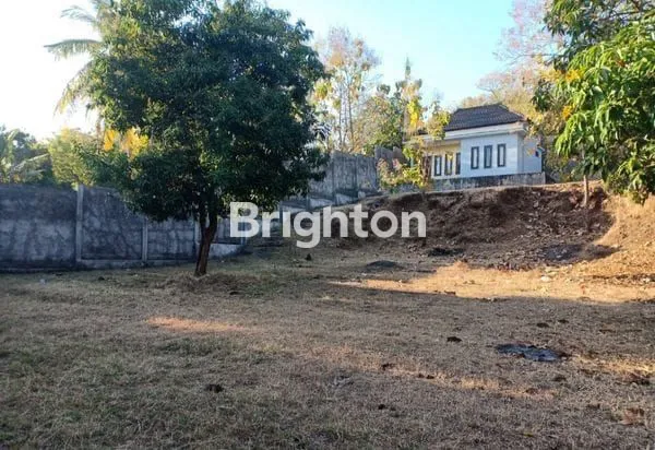 image RUMAH + TANAH SIAP HUNI DI BULELENG BALI (1)