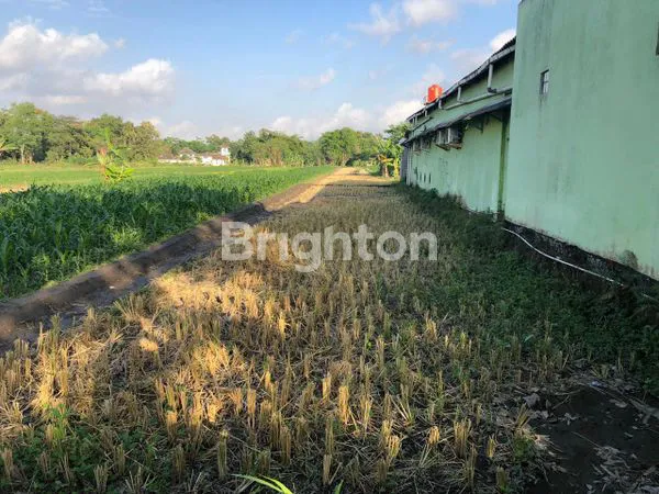 image TANAH LUAS COCOK BUAT USAHA  PINGGIR JALAN RAYA TAMAN MARTANI  (2)