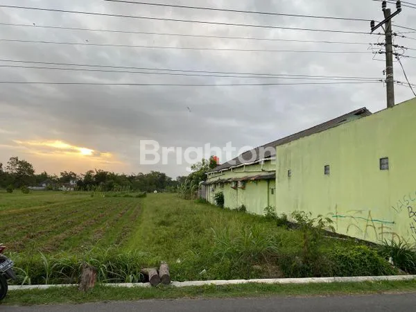 image TANAH LUAS COCOK BUAT USAHA  PINGGIR JALAN RAYA TAMAN MARTANI  (1)