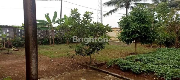 image TANAH RUMAH LUAS MURAH CIAMPEA BOGOR  (4)
