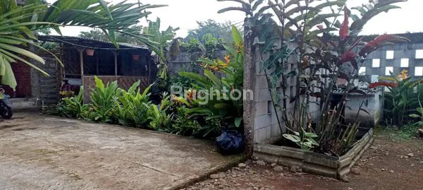 image TANAH RUMAH LUAS MURAH CIAMPEA BOGOR  (5)