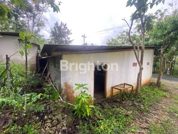 image RUMAH MAKAN DIJUAL JALAN TEPUS-BARON (3)