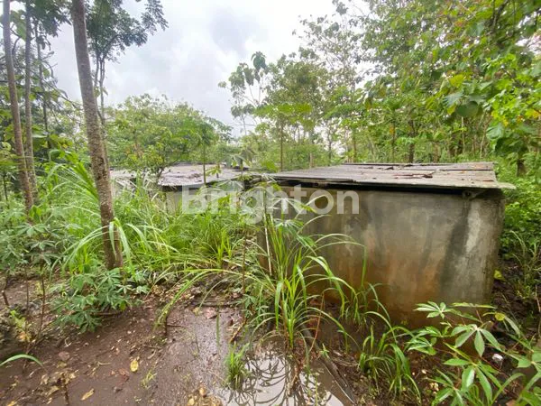 image RUMAH MAKAN DIJUAL JALAN TEPUS-BARON (4)