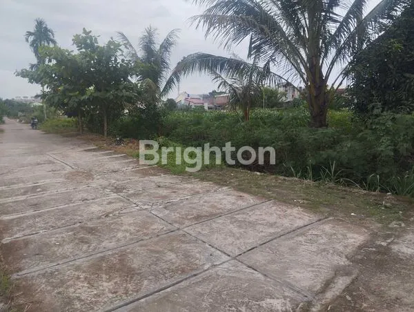 image 1.500 M² TANAH LADANG LUAS DI SETIABUDI MEDAN SELAYANG. BISA DIJADIKAN PERUMAHAN, TEMPAT KOST, RUMAH DAN VILLA (5)
