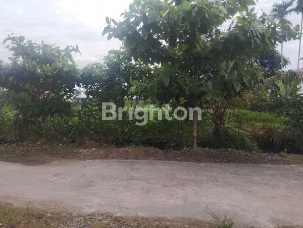 image 1.500 M² TANAH LADANG LUAS DI SETIABUDI MEDAN SELAYANG. BISA DIJADIKAN PERUMAHAN, TEMPAT KOST, RUMAH DAN VILLA (7)