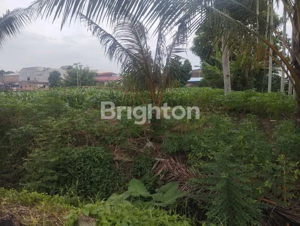 image 1.500 M² TANAH LADANG LUAS DI SETIABUDI MEDAN SELAYANG. BISA DIJADIKAN PERUMAHAN, TEMPAT KOST, RUMAH DAN VILLA (3)