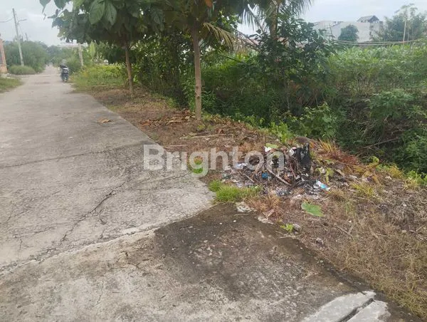 image 1.500 M² TANAH LADANG LUAS DI SETIABUDI MEDAN SELAYANG. BISA DIJADIKAN PERUMAHAN, TEMPAT KOST, RUMAH DAN VILLA (4)