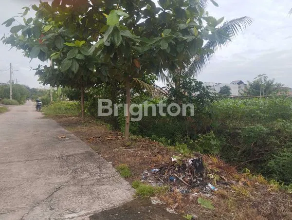 image 1.500 M² TANAH LADANG LUAS DI SETIABUDI MEDAN SELAYANG. BISA DIJADIKAN PERUMAHAN, TEMPAT KOST, RUMAH DAN VILLA (2)