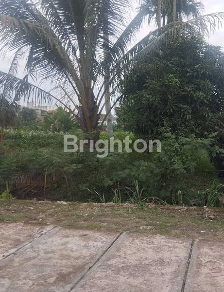 image 1.500 M² TANAH LADANG LUAS DI SETIABUDI MEDAN SELAYANG. BISA DIJADIKAN PERUMAHAN, TEMPAT KOST, RUMAH DAN VILLA (1)