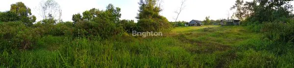 image JUAL TANAH BONUS RUMAH (4)