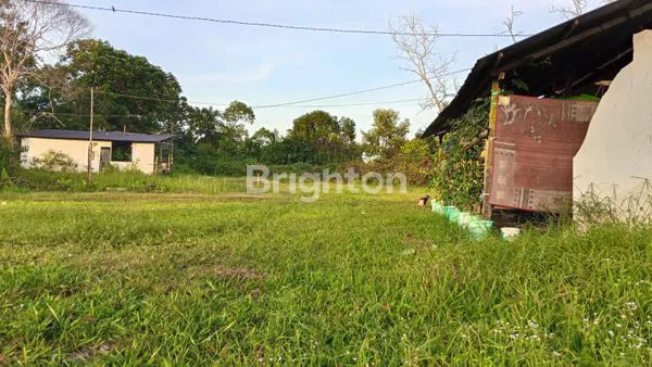 image JUAL TANAH BONUS RUMAH (7)