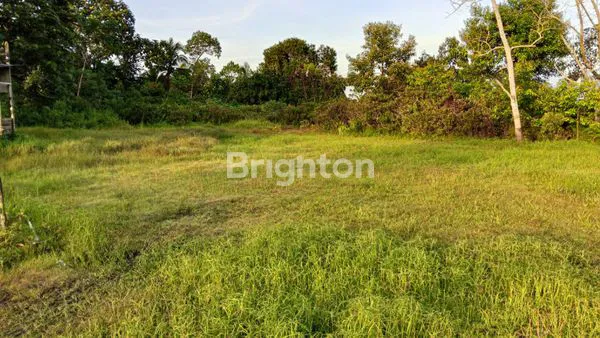 image JUAL TANAH BONUS RUMAH (5)