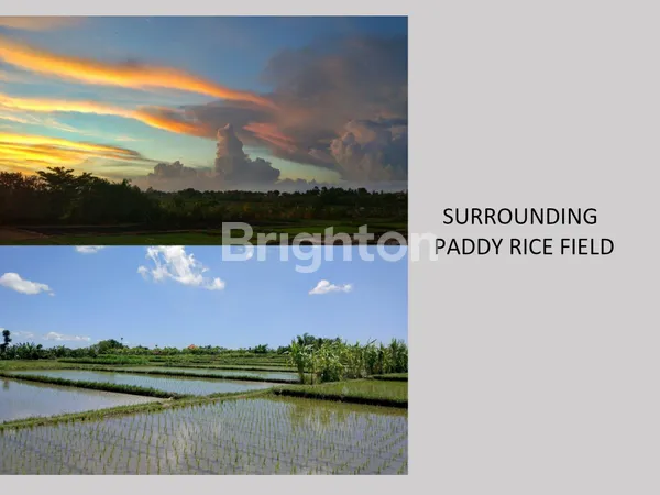 image PROPERTI EKSKLUSIF: RESORT SIAP OPERASI DI LOKASI PRIMADONA BALI (8)