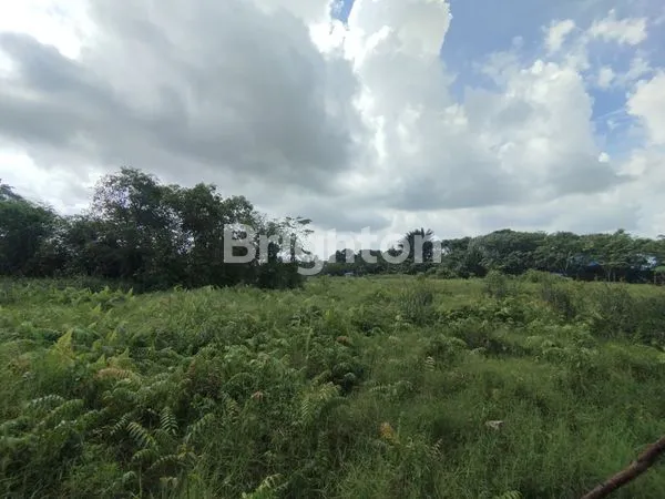 image PELUANG INVEST TANAH JALAN PEMDA PONTIANAK (5)