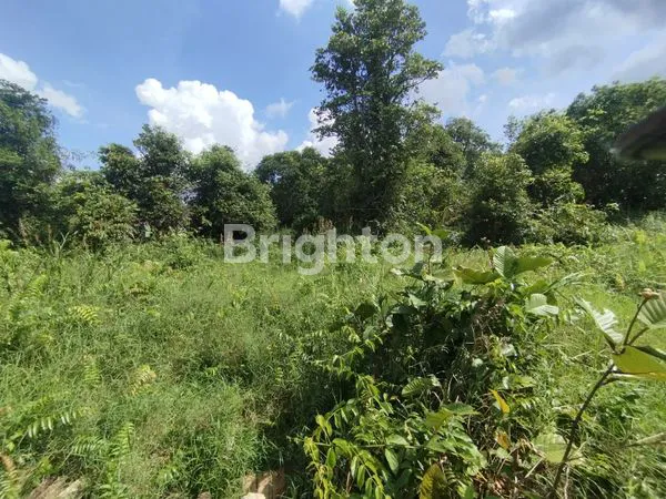 image PELUANG INVEST TANAH JALAN PEMDA PONTIANAK (7)