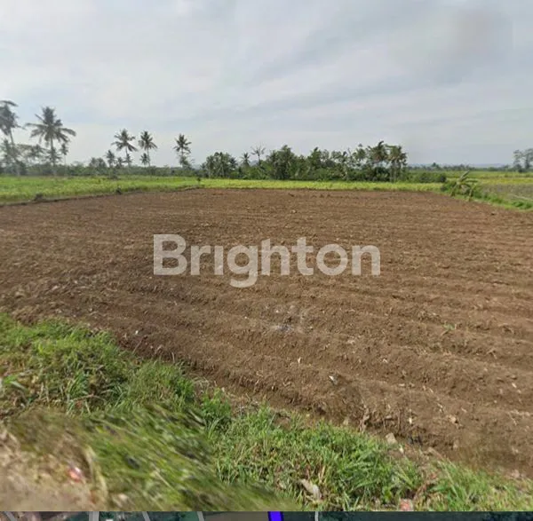 image TANAH KEPANJEN DEKAT UNIVERSITAS BRAWIJAYA (1)