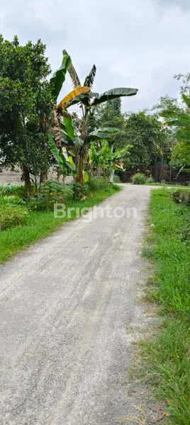 image TANAH TRAKTOR, TANDAM, BINJAI UTARA (2)