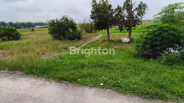 image TANAH TRAKTOR, TANDAM, BINJAI UTARA (1)