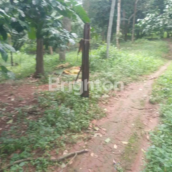 image LAHAN KOSONG SERANG (2)