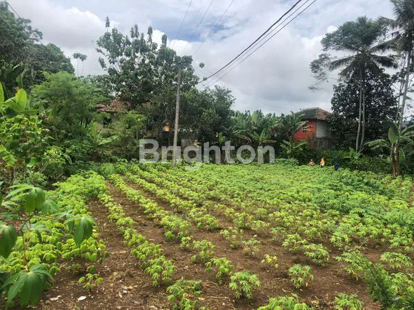 image LAHAN DARAT & DATAR LOKASI STATEGIS DI CIKEMBAR SUKABUMI (1)