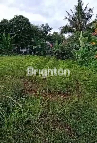 image KAVLING PREMIUM 50X100M DI PAMULANG, DEKAT MODERN HILL (3)