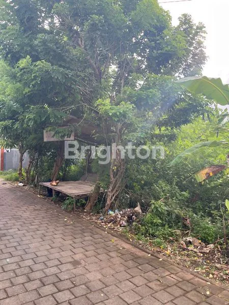 image TANAH UNGASAN (2)