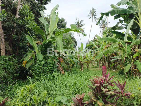 image LAHAN KOSONG DENPASAR UTARA (2)