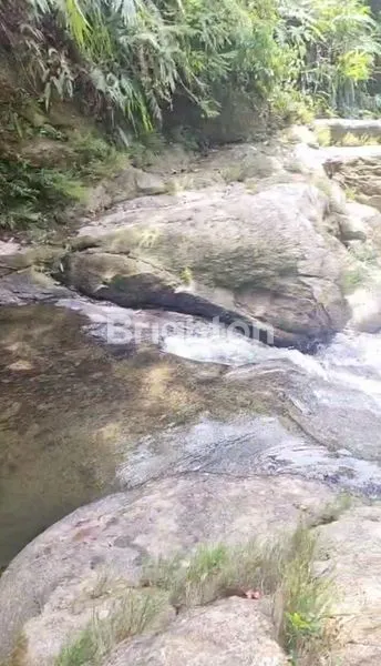 image 70 HEKTAR LADANG & SAWIT DI SIMALUNGUN SIAP TANAM SAWIT & TANAMAN LAINNYA (8)