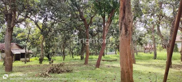 image TANAH SHM 7.360M² DI JALUR STRATEGIS WUNGU (8)