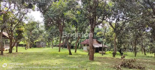 image TANAH SHM 7.360M² DI JALUR STRATEGIS WUNGU (5)