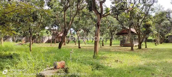 image TANAH SHM 7.360M² DI JALUR STRATEGIS WUNGU (7)