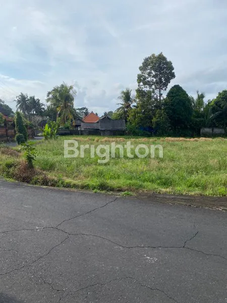 image DISEWAKAN TANAH LUAS 33 ARE ABIANSEMAL, BADUNG BALI (2)