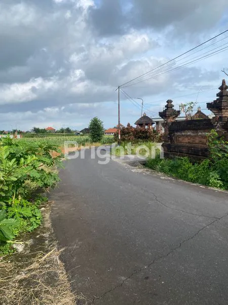 image DISEWAKAN TANAH LUAS 33 ARE ABIANSEMAL, BADUNG BALI (5)