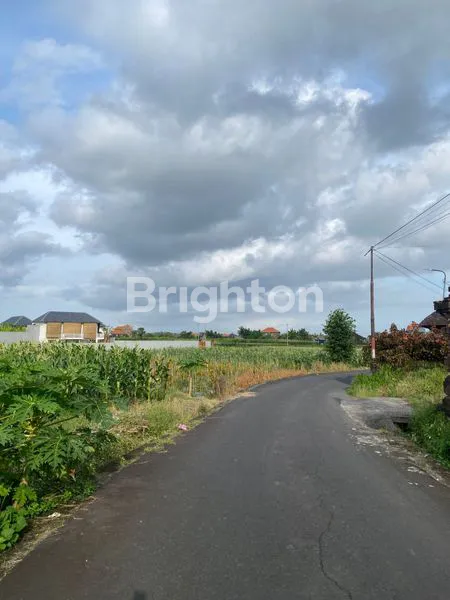 image DISEWAKAN TANAH LUAS 33 ARE ABIANSEMAL, BADUNG BALI (6)