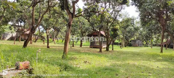 image TANAH SHM 7.360M² DI JALUR STRATEGIS WUNGU (6)