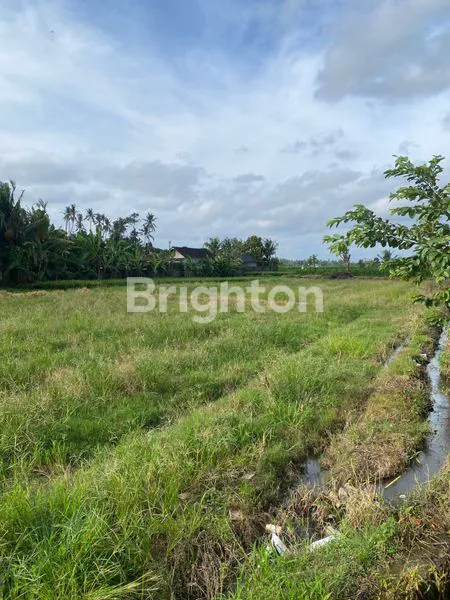 image DISEWAKAN TANAH LUAS 33 ARE ABIANSEMAL, BADUNG BALI (7)