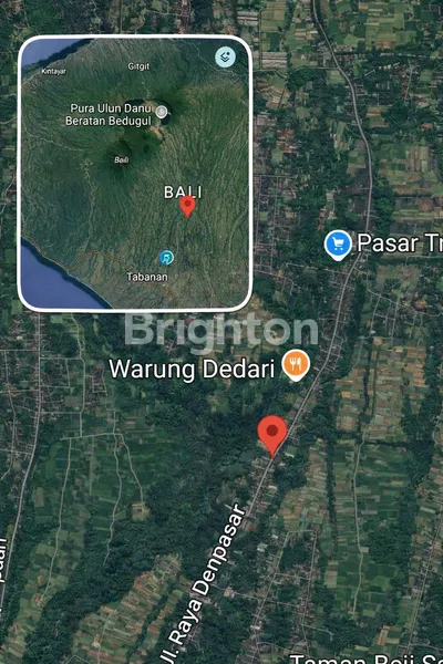 image DISEWAKAN TANAH 63 ARE – LOKASI STRATEGIS JALAN RAYA DENPASAR (6)