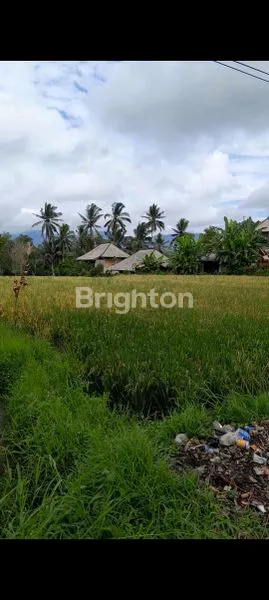 image DISEWAKAN TANAH 63 ARE – LOKASI STRATEGIS JALAN RAYA DENPASAR (2)