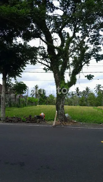 image DISEWAKAN TANAH 63 ARE – LOKASI STRATEGIS JALAN RAYA DENPASAR (1)