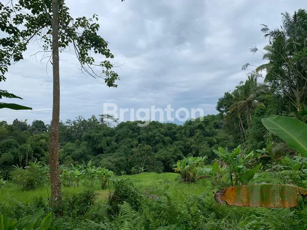 INVESTASI TANAH BALI 2.000M², VIEW GUNUNG AGUNG & DEKAT WISATA