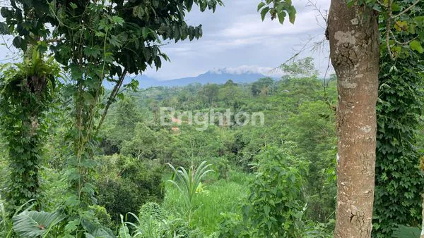 INVESTASI TANAH BALI 4.900M², LOKASI STRATEGIS & BER-SHM