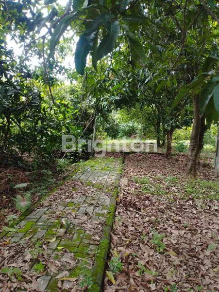 image TANAH LUAS 615M² DI JATIMAKMUR, DEKAT TOL & RS (5)