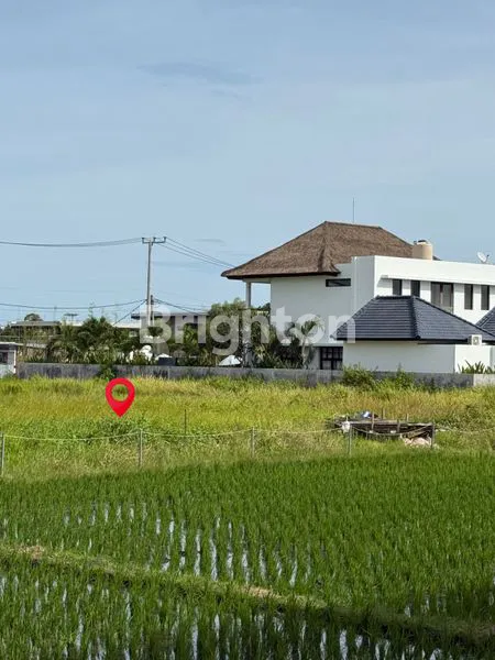image TANAH DI LINGKUNGAN TENANG & NYAMAN DI CENTRAL BERAWA, CANGGU - BALI (1)