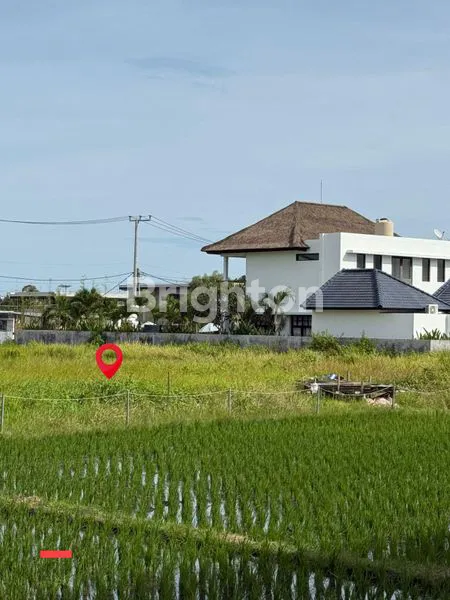 image TANAH DI LINGKUNGAN TENANG & NYAMAN DI CENTRAL BERAWA, CANGGU - BALI (5)