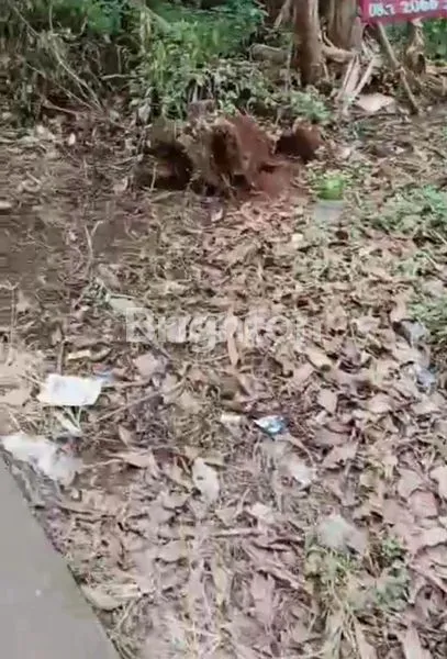 image JUAL TANAH LUAS 585M  DENGAN LOKASI STRATEGIS  D PINGGIR  JALAN UTAMA (8)